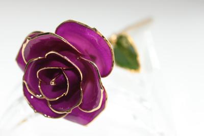 China Handcrafted Gold plated Rose 24k Gold Dipped Rose - Mothers Day Gift for sale