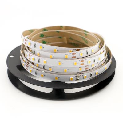 China LANDSCAPE High Lumen 24v 5M LED Light 2835 SMD Led Chip Diodes 8mm Width Flexible LED Strip for sale