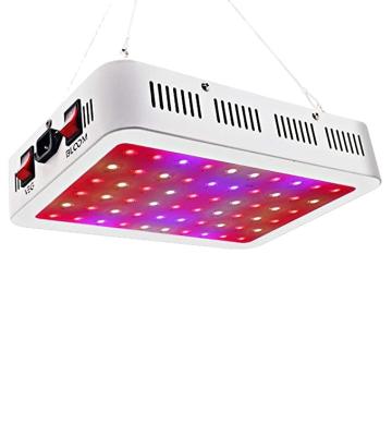 China Dimming+Time Control Led Grow Light Quantum Indoor Grow Light Led Epistar Free Shipping Dragon Fruit Led Grow Light for sale