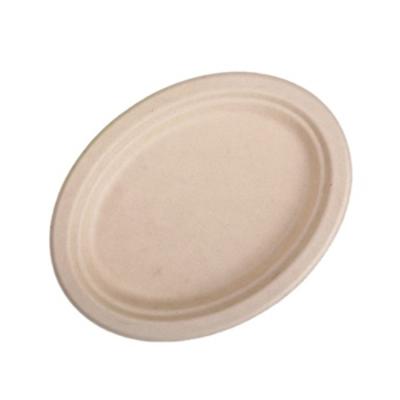 China Disposable Medium Sized Pulp Dish Oval Food Serving Tray Disposable Products China for sale