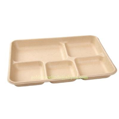 China 5 Compartment Disposable Food Tray Disposable Paper Food Containers Quick Meal Tray for sale