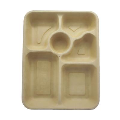 China Eco Friendly Disposable Food Boxes Caterer Packing Bagasse Biodegradable 6 Compartment Disposable Sugar Cane Food Serving Tray Container for sale