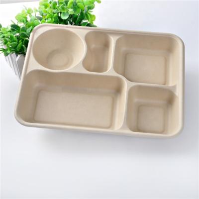 China Eco-Friendly Disposable Bagasse Sugar Cane Food Boxes Caterer Packing 5 Compartment Food Packing Containers for sale