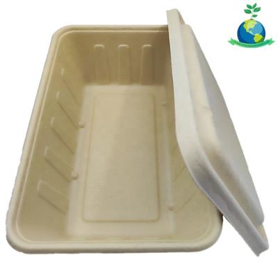 China Good Quality Disposable Eco - Friendly 2500ml Paper Meal Box And Lid for sale