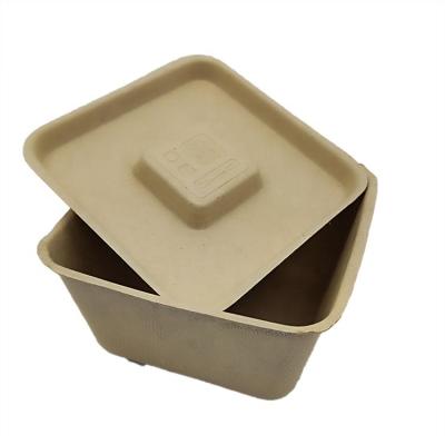 China Disposable Fine Quality Paper Food Tray Disposable Degraded 280ml Square Box With Lid for sale