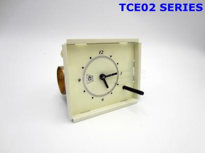 Cina Temporizzatore del forno delle stufe TCE02-001-1, temporizzatore FASTON del forno della cucina PCS 0.8X6.3/2 in vendita