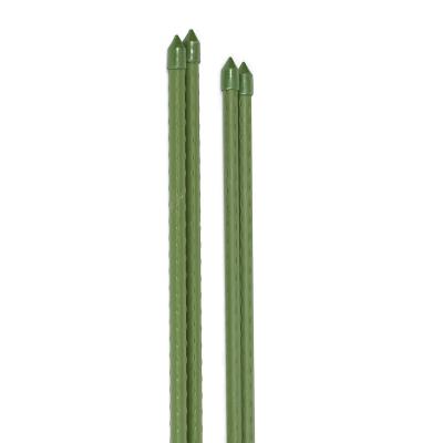 China For Plant Grow Upright 90cm And 180cm Plastic Coated Steel Tube Plant Grow Stake Climbing for sale