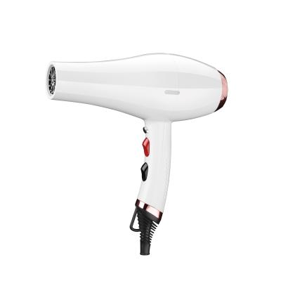 China Professional AC Motor Ionic Ion Blow Hair Blow Dryer for Hair Salon Private Label Electric Blue Yellow Red Color Hair Dryer for sale