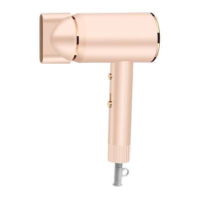 China 2021 Hot Selling Professional Household Infared Ion OEM Hair Dryer Hair Dryer for sale