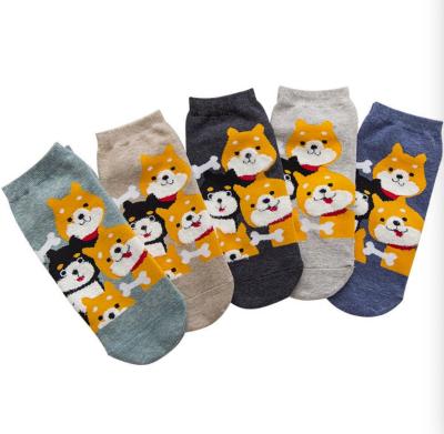 China Funny Dog Cartoon Shiba Inu Collection Of Various Antibacterial Antibacterial Socks Cotton Design Animal Cute Socks For Women Girls for sale