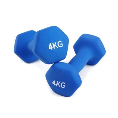 China Universal Wholesale High Quality Bodybuilding Hand Weights Dipping Portable Ladies Dumbbell Sets for sale