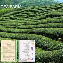 Verified China supplier - Hangzhou Lin'an Oriental Tea Applied Technology Research Institute