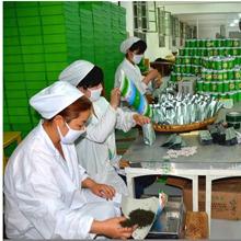 Verified China supplier - Hangzhou Lin'an Oriental Tea Applied Technology Research Institute