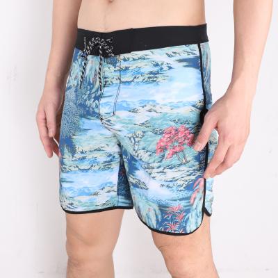 China New Popular Boardshorts 2021 Men's Swimming Trunks Back Pockets Summer QUICK DRY Shorts Beach Quick Dry Shorts for sale