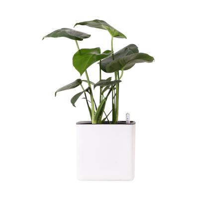 China Minimalist For Sale 10 Inch Rectangular Plastic Flower Pot Flower Pot Tray For Large Scale Planting Plastic Flower Pots for sale