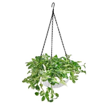 China Minimalist Wholesale Multiple Sizes Basket Flower Pots Modern Design Durable Plastic Self Hanging Plastic Watering Pots New for sale