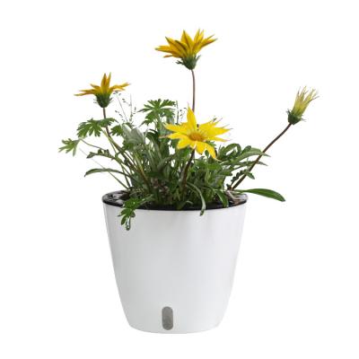 China White Water Tier Basin Biodegradable Flower Pots New Flower Decor Water Pots Plastic Basin Home Wholesale Minimalist Tier for sale