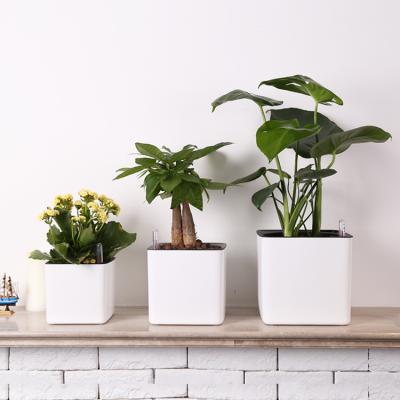 China Square minimalist hot-selling plastic flower pots on major platforms can self-watering flower pots for sale