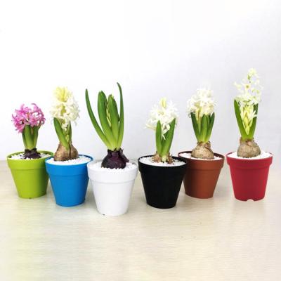 China China Plastic Minimalist Flower Pots Wholesale Cheap Plastic Fancy Flower Pot All Large Size Colorful Garden Nursery for sale