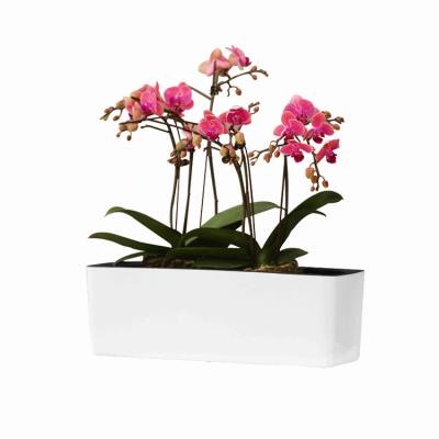 China Modem exported plastic pot Rubik's self-suction flower pot good quality flower cube flower pot for sale