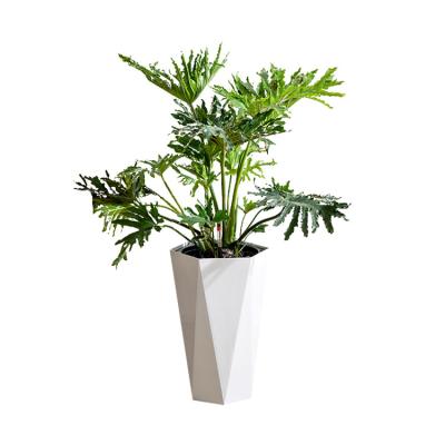 China Morden Garden Self Watering Plant Pot Creative Indoor Automatic Water Absorbing Flower Pot for sale