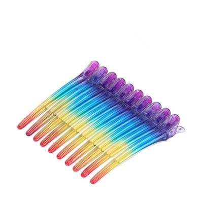 China Fashionable wholesale professional hair salon rainbow color hairdressing special non-registration clip for sale