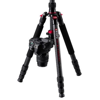 China PORTABLE 79 Inch Carbon Fiber Camera Tripod Monopod, 360 Degree Ball Head, 1/4 Inch Quick Shoe Plate and Bag for DSLR Camera Video for sale