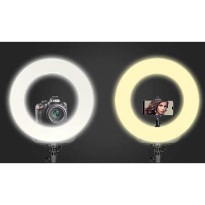 China Triopo 14Inch photography mobile led selfi ring light rotating for phone tik tok video led light RL-14 for sale