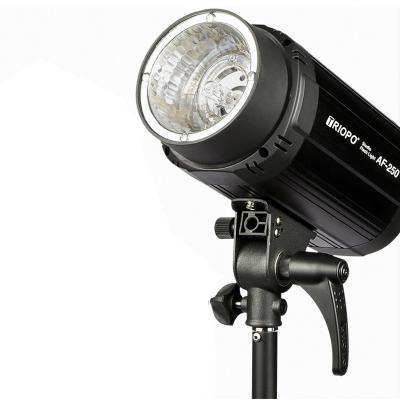 China TRIOPO Photographic Equipment Cheap Accessories Best Selling Studio Strobe Flash Light For Shooting AF-250 for sale