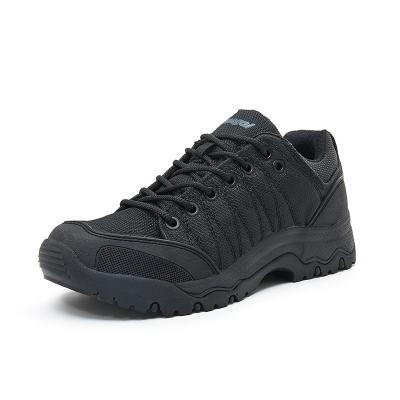 China Oxford Cloth Low Cut Lightweight Tactical Combat Shoes With Breathable Mesh For Men for sale