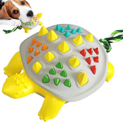 China Viable Dog Chew Toy Rubber Tortoise Toys Toothbrush Dog Training Pet Cleaning Toys Chew for sale