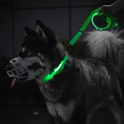 China Personalized Pet Supplies Glow Collar Light Usb Charging Led Puppy Harness Leashes Set Pet Collars Dog Collar for sale