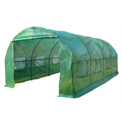 China Large Easily Assembled Litgrow 20x10x7 Ft Green House Large Greenhouse For Plants Shed Storage PE Garden Row Warm Cover With Frame for sale