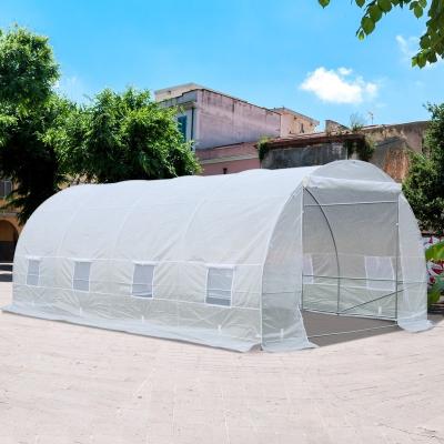 China Easily Assembled Litgrow Walk In Polytunnel Full Steel Pipes Garden Greenhouse With Double Zipper Door And White Ventilation Window Cover for sale