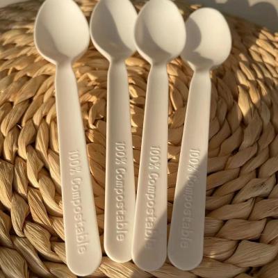 China Sustainable 100% Biodegradable Disposal Plastic PLA Teaspoon Customized Packaging Available for sale