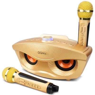 China Portable Wireless Karaoke Speaker Party KTV 30W Bass Sound Microphone Home Theater for Kid and Adult for sale