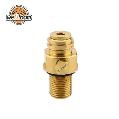 China M18*1.5 Thread TR21-4 Sustainable Brass Valve Carbonated Soda Bottle CO2 Adapter for sale