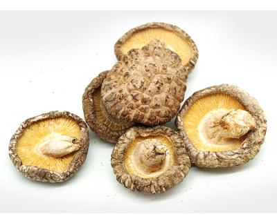 China High quality shittake dried whole mushroom dried chinese natural goods for sale