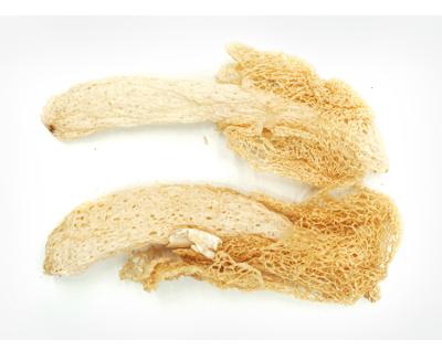 China Dry Quality Dried Dictyophora Forasen Farmmi Mushroom for sale