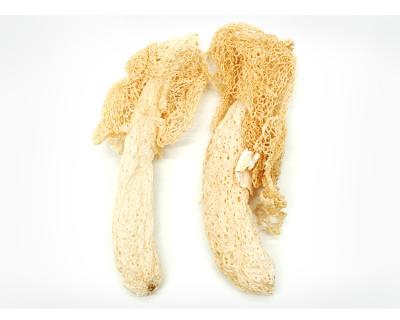 China Dry Quality Dried Farmmi Mushroom Bamboo Fungus Mushroom for sale