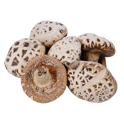 China Forasen Farmmi 3-4cm dry hot sale shiitake mushroom China dried shiitake mushroom for sale is dry magic mushrooms for sale