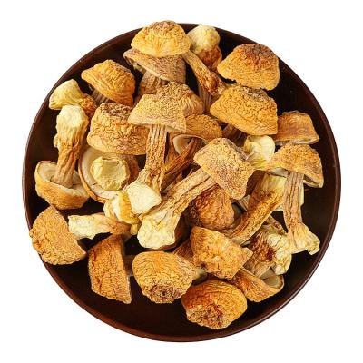 China Agaricus blazei mushroom Farmmi Forasen Dried Dry Products Dried Agaricus blazei mushroom for sale