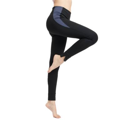 China Breathable Four Way Stretch Gymnastics Yoga Pants Fitness Sport Leggings Women Athleisure for sale