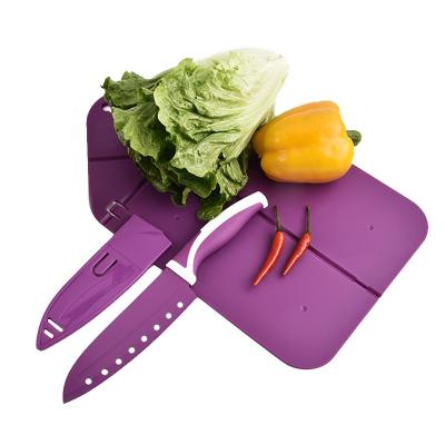 China Viable Custom Multifunctional Drain Colorful Food Grade PP Folding Fruit Cutting Board Set With Knife Set for sale