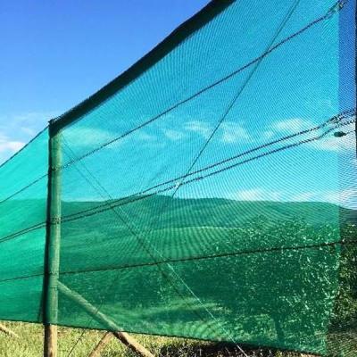 China HDPE+UV Monofilament Dust Protection Net Anti Windproof Balcony Net for sale