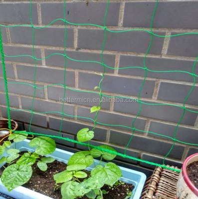 China Plant Support Netting Garden Trellis Netting For Plant Growing Flexible Twine Netting for sale