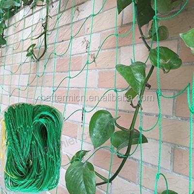 China Plant Support Netting Vegetable Clematis Garden Trellis Making Cucumber Trellis Trellis for sale