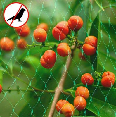 China Agricultural High Quality Polyester Plastic Bird Control Nylon Green Anti Bird Nets for sale