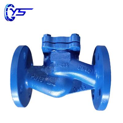 China Water Treatment Gray Iron DIN Non-Return General Lifting Hydraulic Check Valve for sale