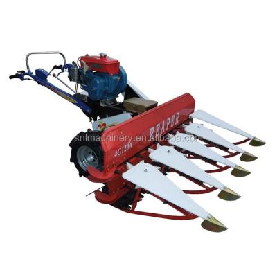 China Mini Wheat Farm Use Walking Tractor Havester Farm Small Grain Tractor Havester Corn Harvester for sale